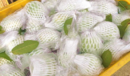 芭乐短视频,轻松捕捉生活精彩瞬间