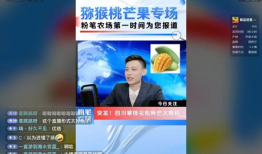 短视频主播有哪些,引领潮流的数字时代新势力