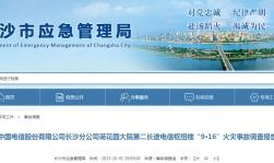 国产精品毛片久久久久久久,探寻中国影视艺术的独特魅力