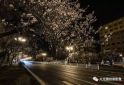 旅游短视频拍摄方案