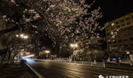 旅游短视频拍摄方案