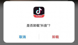 戒短视频,找回专注与生活的平衡之道