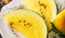 海外吃瓜爆料免费观看