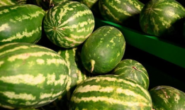 大连爆料吃瓜事件视频