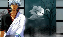 银魂动漫目录,笑对江湖，守护正义的武士传奇