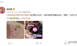 吃瓜爆料杨迪视频大全,吃瓜爆料背后的娱乐真相